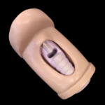 Krikotirotomijos simuliatorius CRIC IN A BOX™