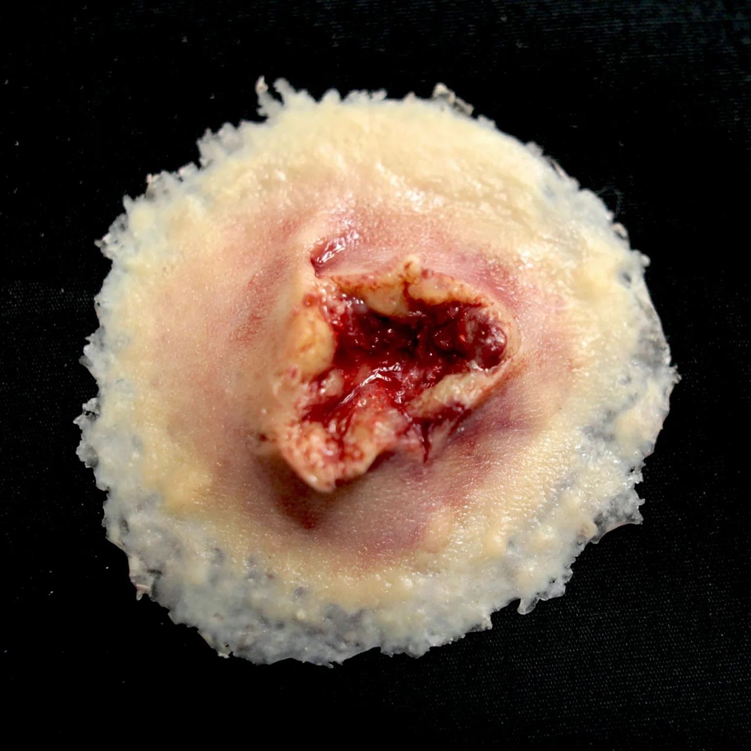 vidutine-sautines-iseinancios-zaizdos-imitacija.jpg Gunshot Exit Wound, Medium - Image 1